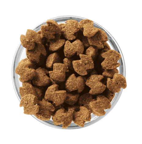 image eukanuba-kibble-bowl-adult-senior-fit-body-medium-breed_0