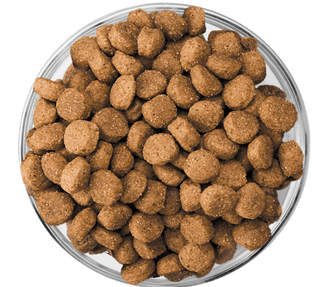 image eukanuba-kibble-bowl-puppy-medium-large-breed_0