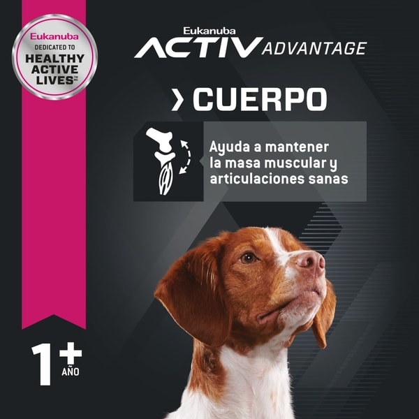 image adulto-mb-2-27-kg-19014710911-4