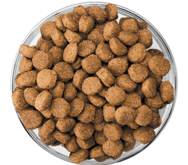 image eukanuba-kibble-bowl-puppy-medium-large-breed_0